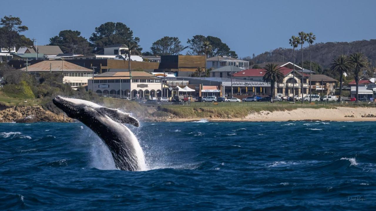Bermagui Beach Hotel Exteriör bild
