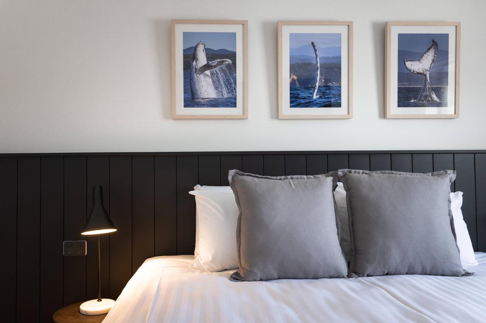 Bermagui Beach Hotel Rum bild